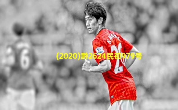 (2020)黔2624民初979号