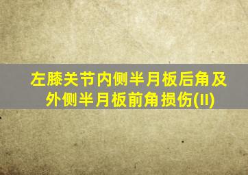 左膝关节内侧半月板后角及外侧半月板前角损伤(II)