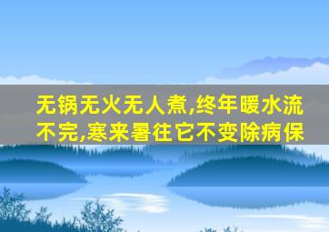无锅无火无人煮,终年暖水流不完,寒来暑往它不变除病保