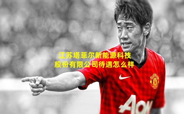 江苏塔菲尔新能源科技股份有限公司待遇怎么样
