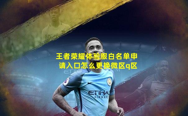王者荣耀体验服白名单申请入口怎么更换微区q区