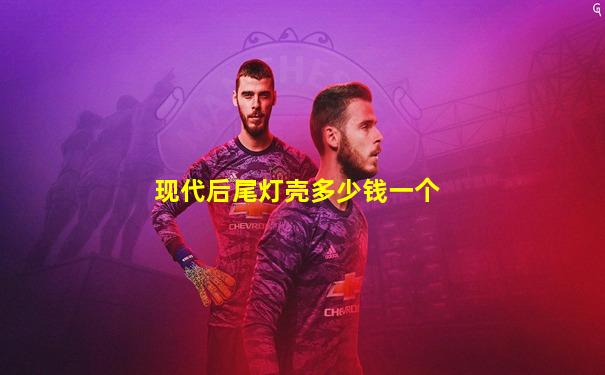 现代后尾灯壳多少钱一个