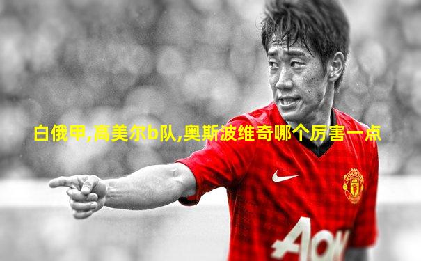 白俄甲,高美尔b队,奥斯波维奇哪个厉害一点