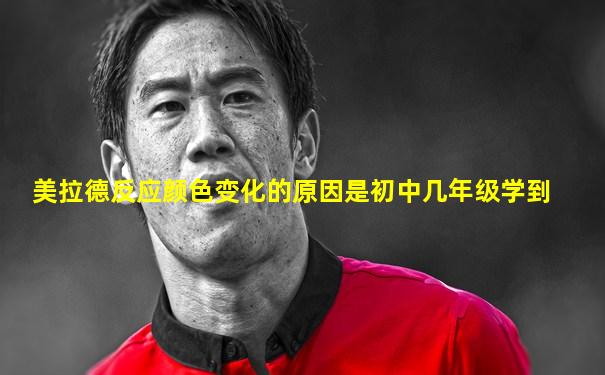 美拉德反应颜色变化的原因是初中几年级学到