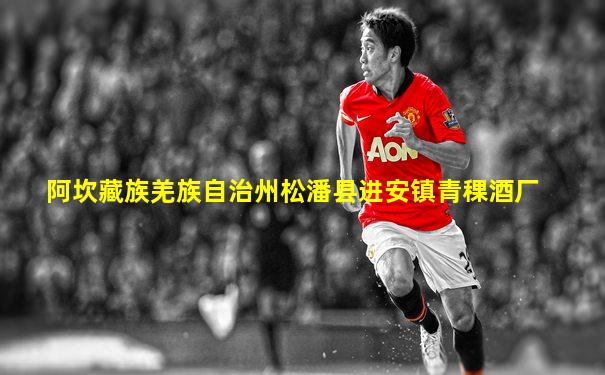 阿坎藏族羌族自治州松潘县进安镇青稞酒厂