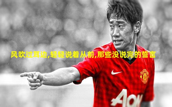 风吹过耳边,轻轻说着从前,那些没说完的誓言