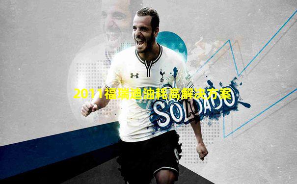 2011福瑞迪油耗高解决方案