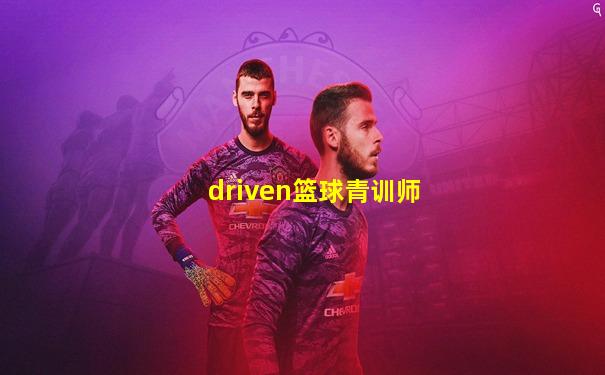 driven篮球青训师