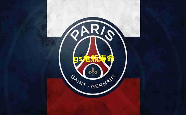 gs电瓶寿命