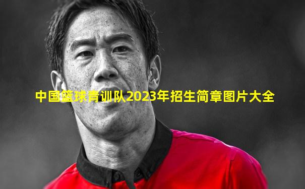 中国篮球青训队2023年招生简章图片大全