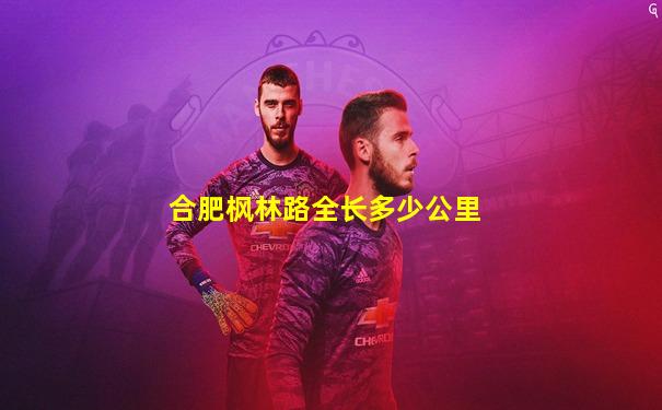 合肥枫林路全长多少公里