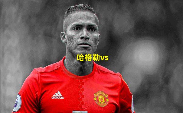 哈格勒vs