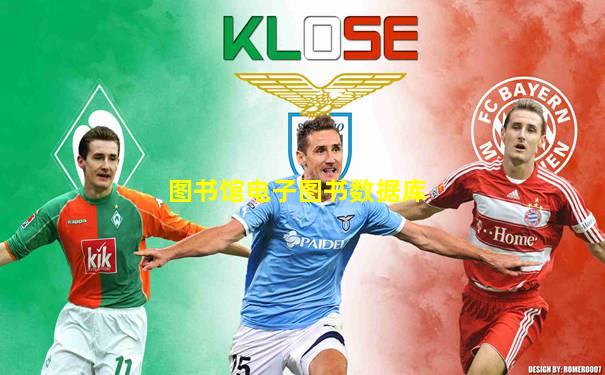 图书馆电子图书数据库