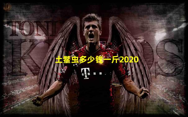 土鳖虫多少钱一斤2020