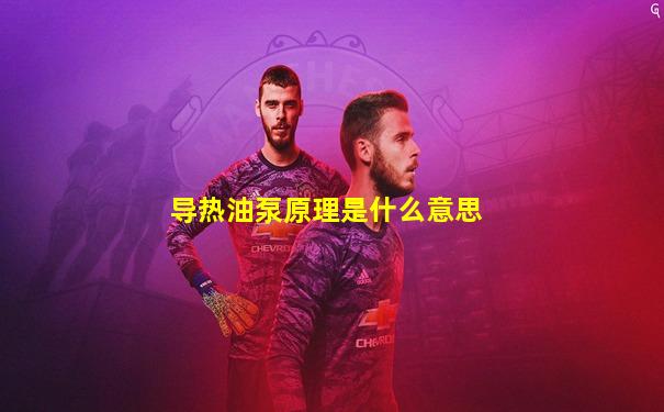 导热油泵原理是什么意思