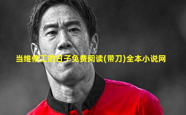当维修工的日子免费阅读(带刀)全本小说网