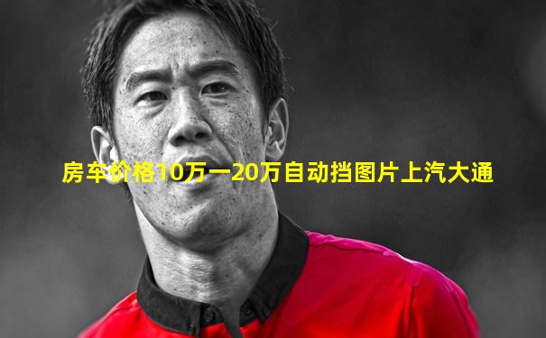 房车价格10万一20万自动挡图片上汽大通
