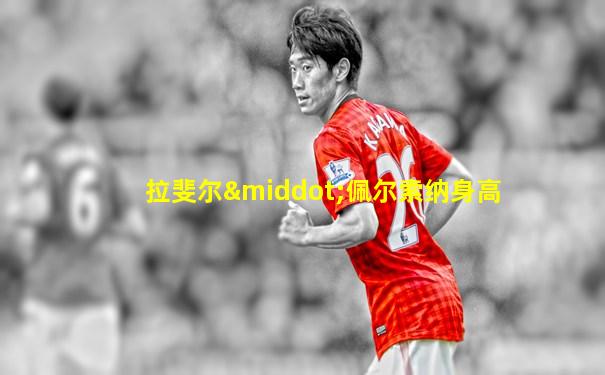 拉斐尔·佩尔索纳身高